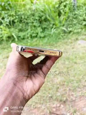 Apple iPhone 12 Pro 256GB (Used)