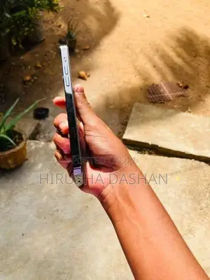 Apple iPhone 12 Pro (Used)