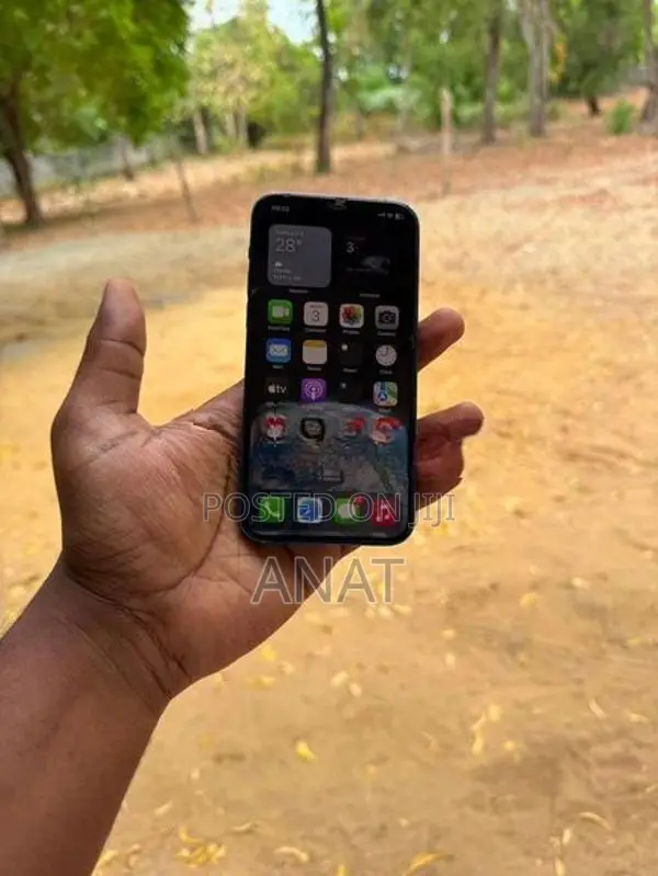 Apple iPhone 12 (Used)