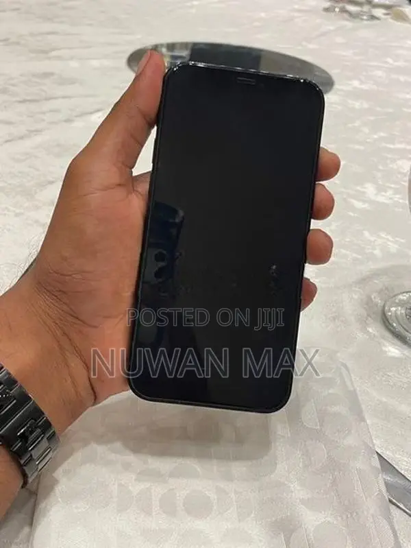 Apple iPhone 12 Pro 256GB (Used)