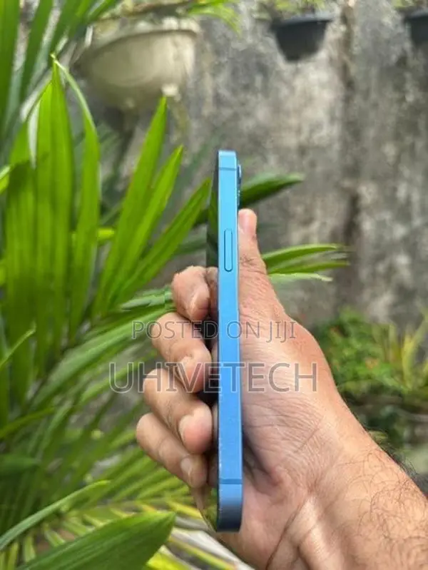 Apple iPhone 13 (Used)