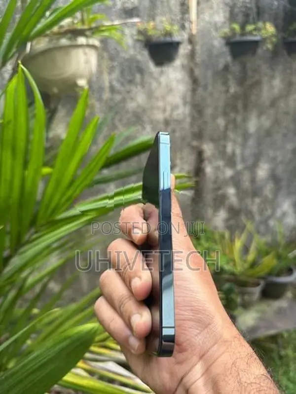 Apple iPhone 12 Pro (Used)