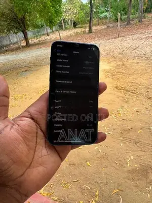 Apple iPhone 12 (Used)