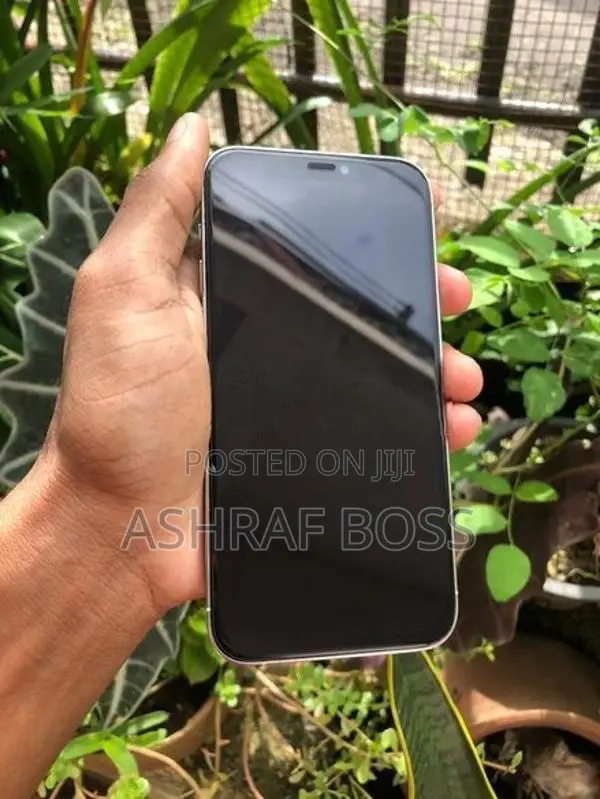 Apple iPhone 12 Pro 256GB (Used)