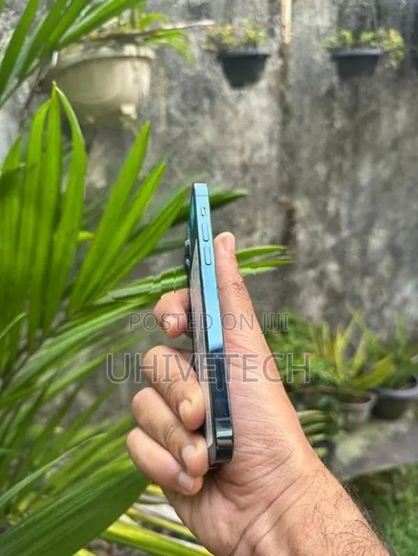 Apple iPhone 12 Pro (Used)