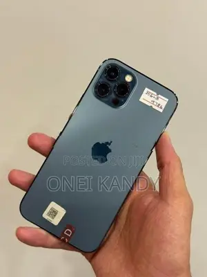 Apple iPhone 12 Pro 256GB (Used)