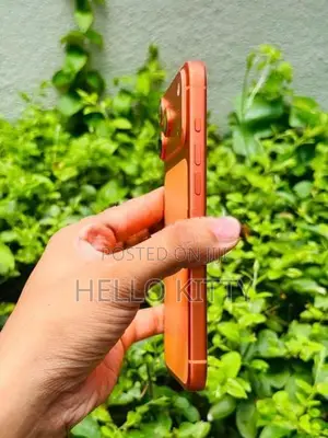 Apple iPhone 17 Pro Max orange (Used)