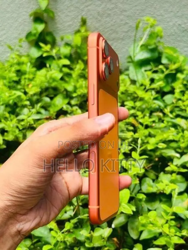Apple iPhone 17 Pro Max orange (Used)