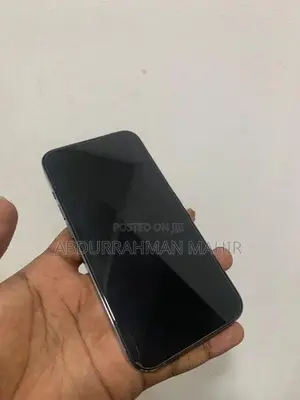 Apple iPhone 13 Pro (Used)