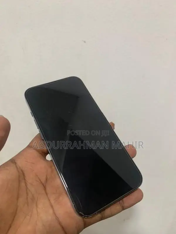 Apple iPhone 13 Pro (Used)