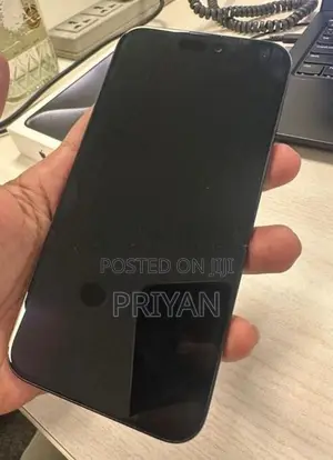 Apple iPhone 15 Pro Max (Used)