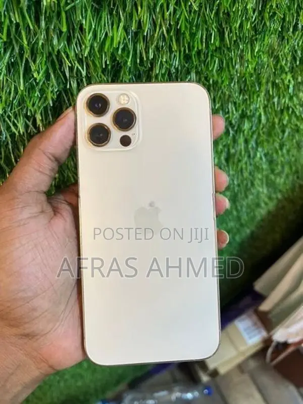 Apple iPhone 12 Pro (Used)