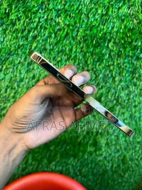 Apple iPhone 12 Pro (Used)