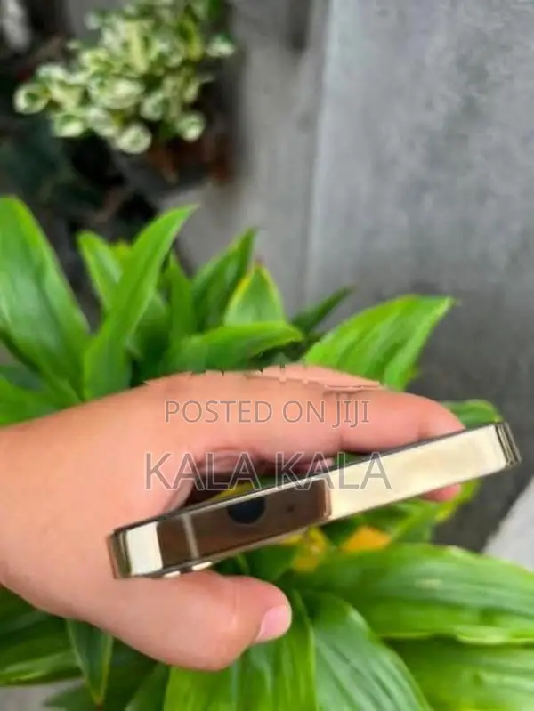 Apple iPhone 12 Pro 256gb (Used)
