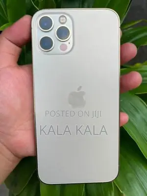 Apple iPhone 12 Pro 256gb (Used)
