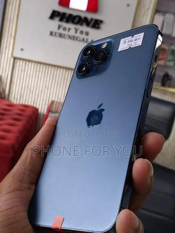 Apple iPhone 12 Pro Max (Used)