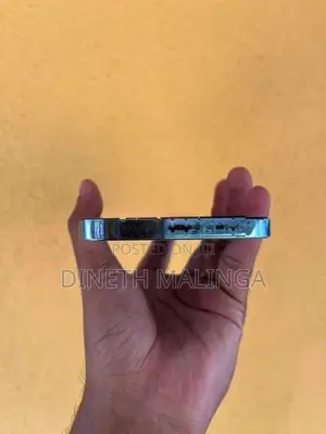 Apple iPhone 13 Pro Max (Used)