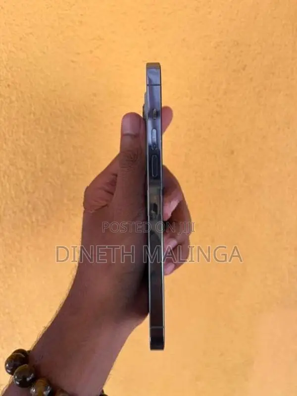 Apple iPhone 13 Pro Max (Used)