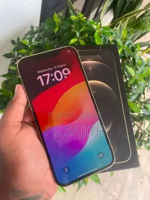 Apple iPhone 12 Pro Max (Used)