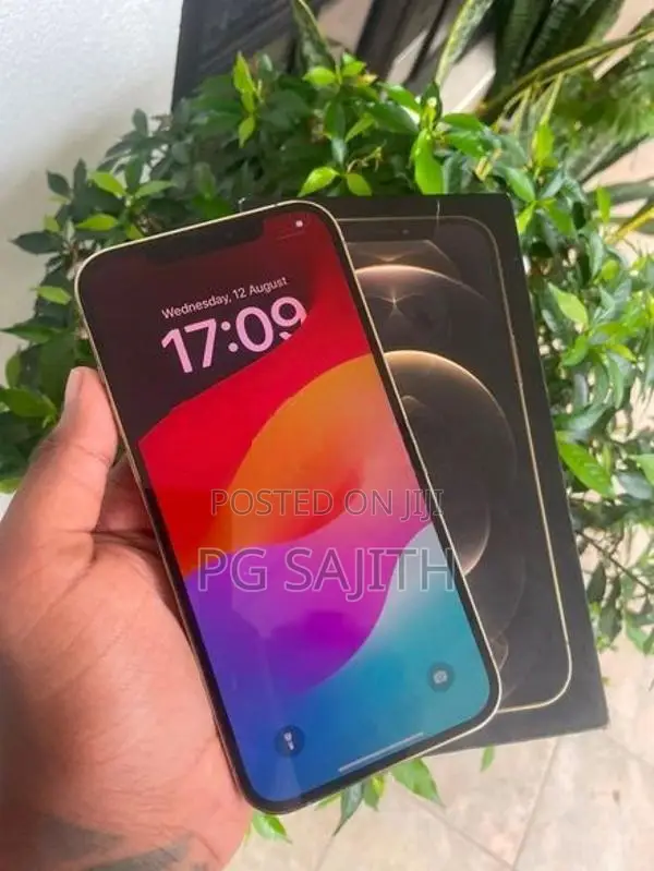 Apple iPhone 12 Pro Max (Used)