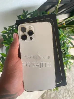 Apple iPhone 12 Pro Max (Used)