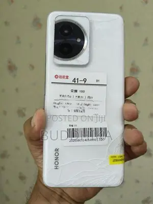 Honor 100 16/256GB (Used)