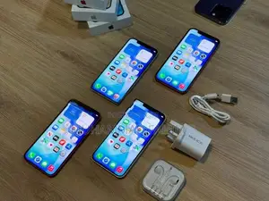 Apple iPhone 12 256GB (Used)
