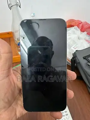 Apple iPhone 13 Pro Max (Used)