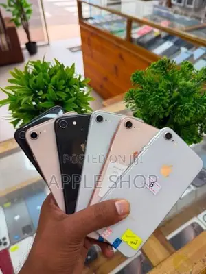 Apple iPhone 8 64GB (Used)