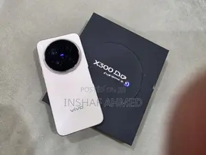 Vivo X300 Pro (Used)