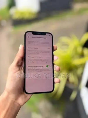Apple iPhone 12 (Used)