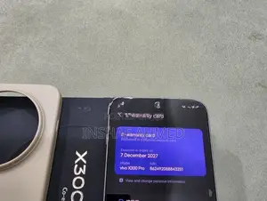Vivo X300 Pro (Used)