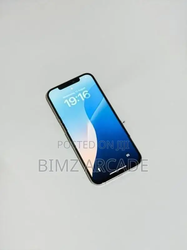 Apple iPhone 12 Pro Max 256GB (Used)