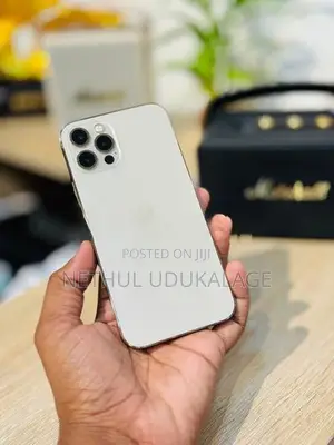 Apple iPhone 12 Pro 256GB (Used)