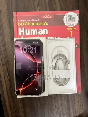 Apple iPhone 16 Pro Max 256GB (Used)