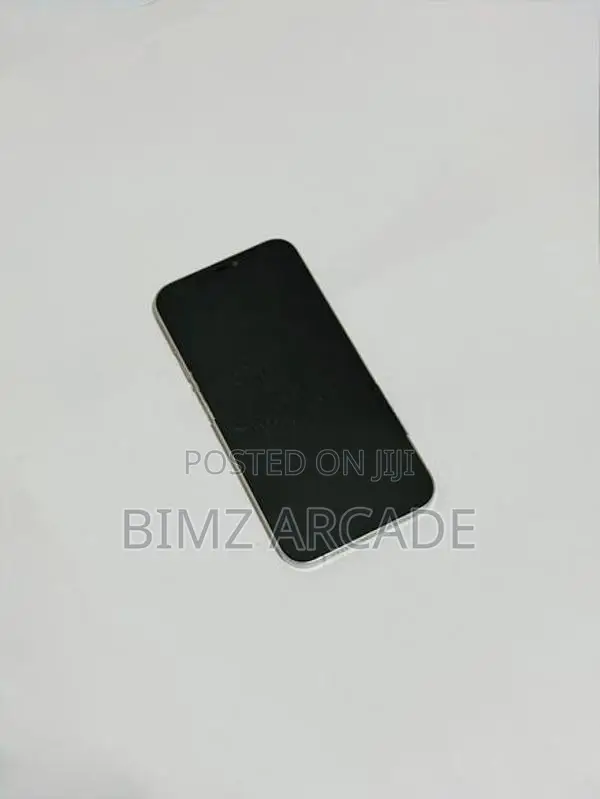 Apple iPhone 12 Pro Max 256GB (Used)
