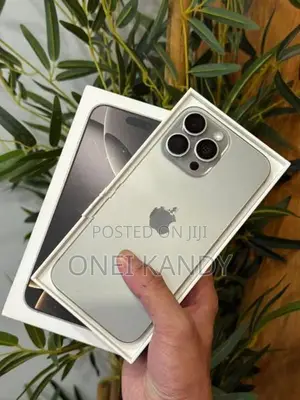 Apple iPhone 16 Pro Max 256GB (Used)