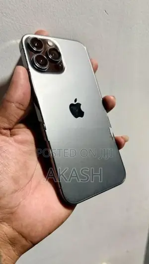 Apple iPhone 13 Pro Max 256Gb (Used)