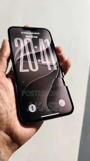 Apple iPhone 13 Pro Max 256Gb (Used)