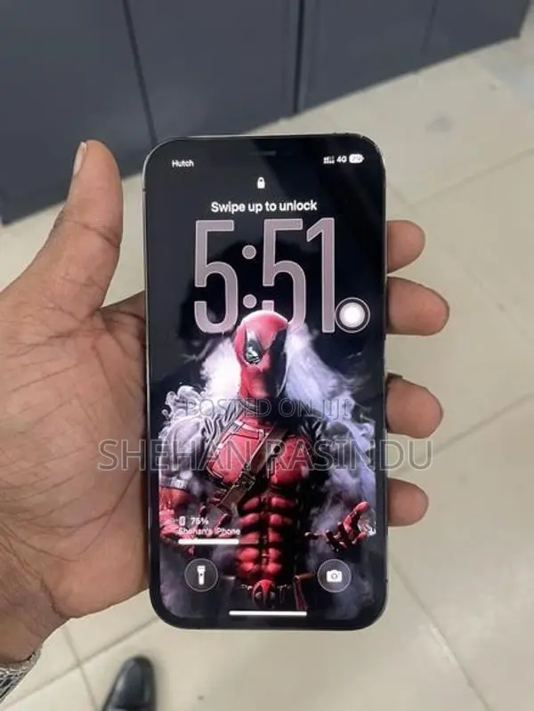 Apple iPhone 12 Pro 256gb (Used)