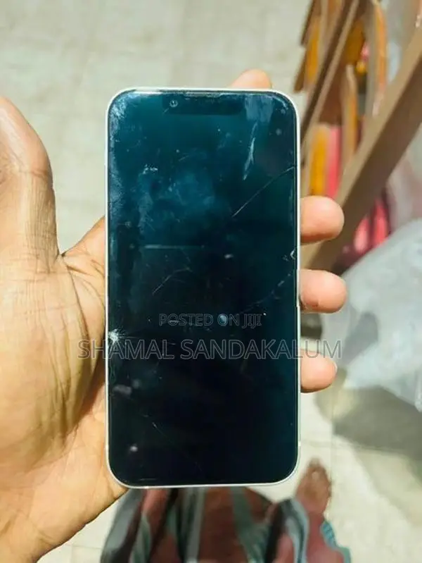 Apple iPhone 13 mini 100% condition (Used)