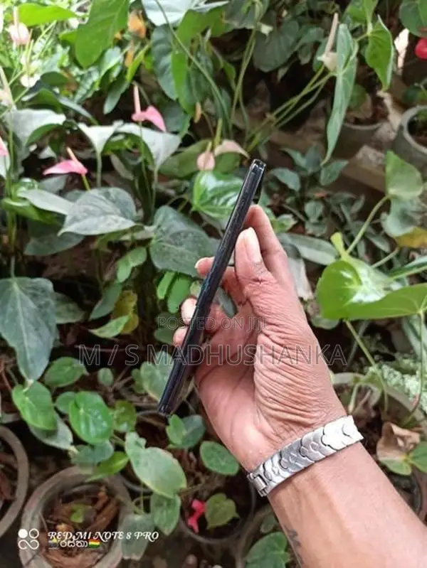 Vivo Y50 (Used)