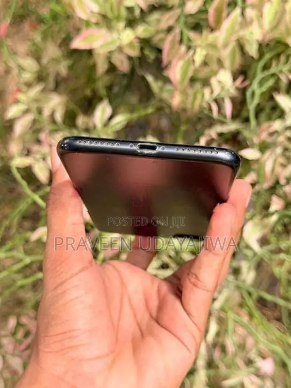 Apple iPhone 7 Plus (Used)