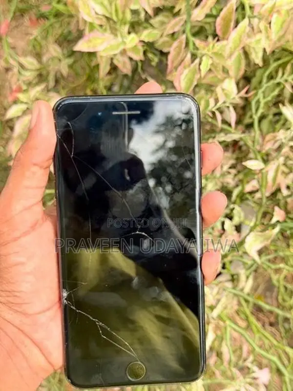 Apple iPhone 7 Plus (Used)
