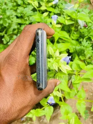 Google Pixel 6 (Used)