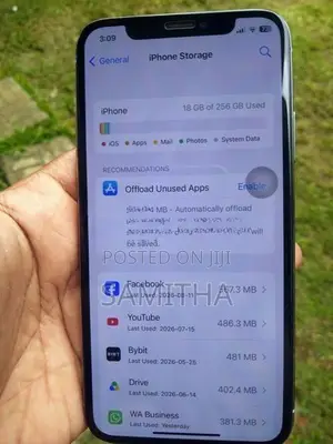 Apple iPhone X 256GB (Used)