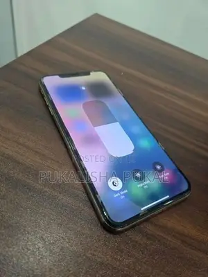 Apple iPhone XS Max (Used)