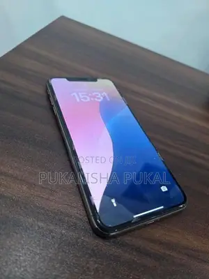 Apple iPhone XS Max (Used)