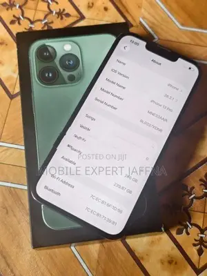 Apple iPhone 13 Pro 256GB (Used)