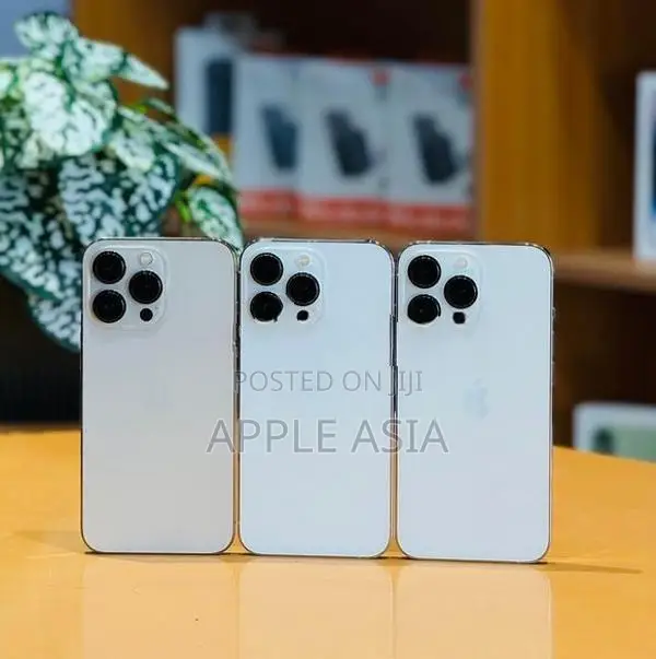 Apple iPhone 13 Pro 256GB (Used)